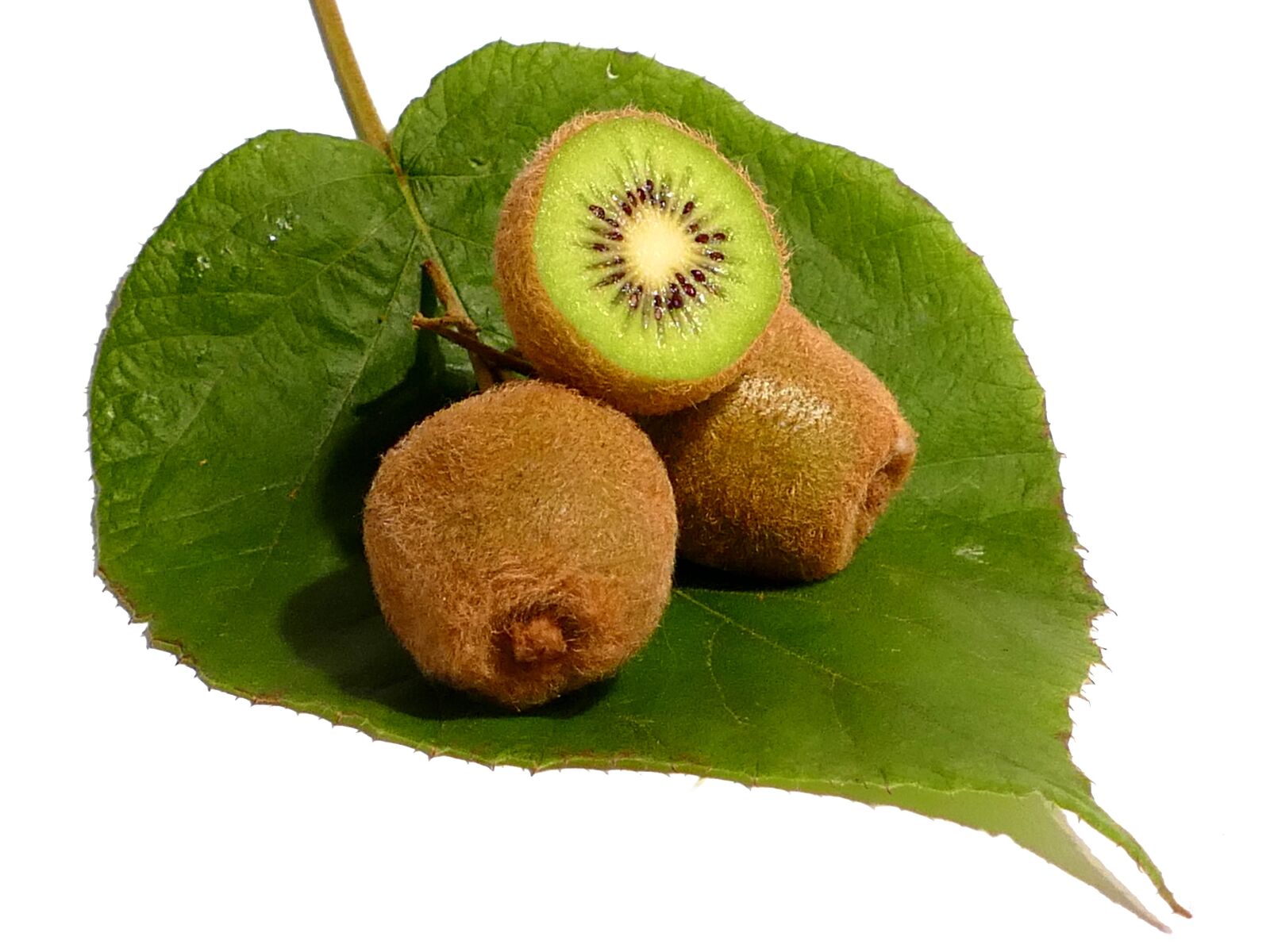 Panasonic Lumix DMC-FZ1000 sample photo. Kiwi, fruit, vitamins photography