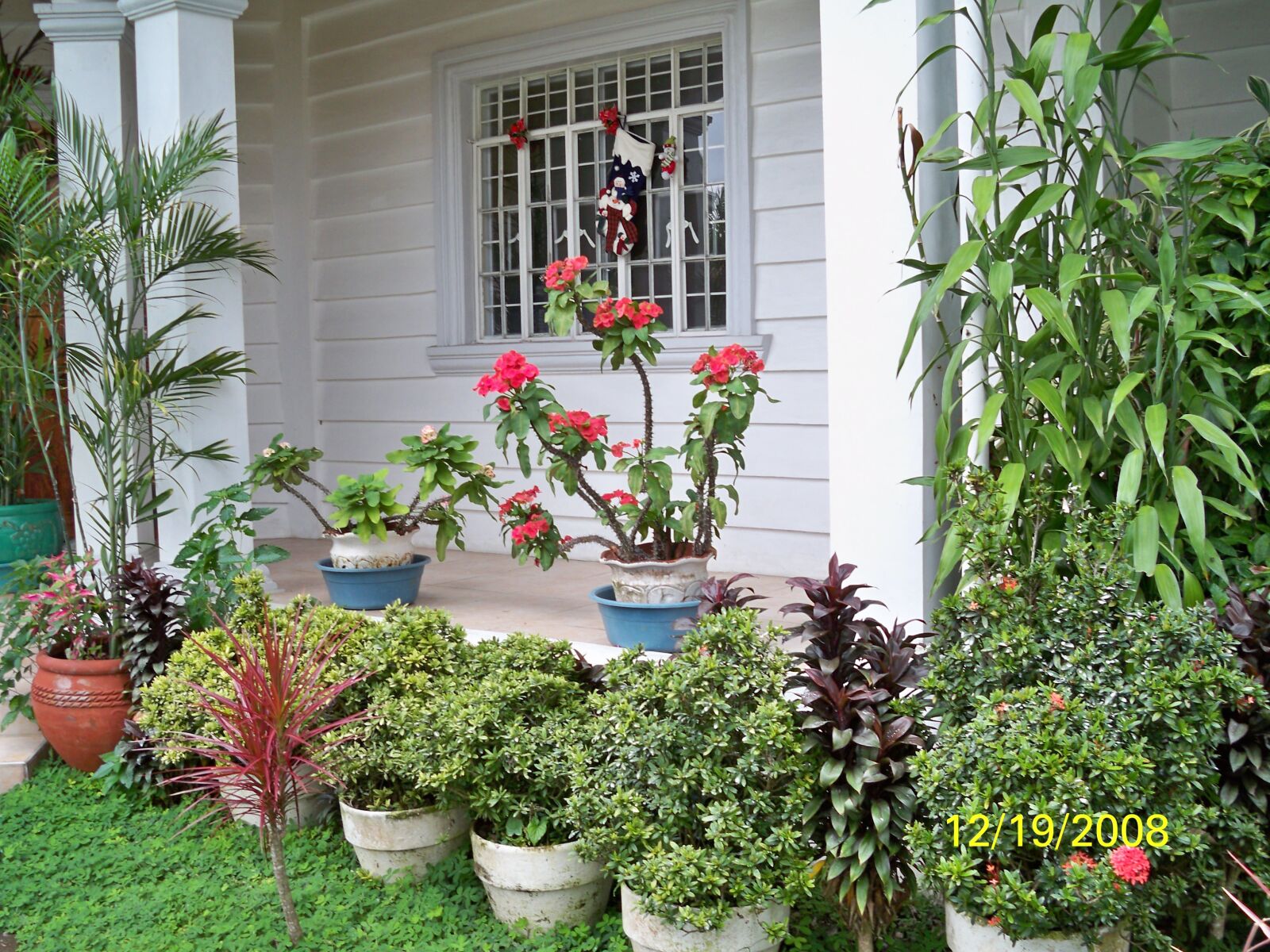 Kodak EasyShare M1033 sample photo. Garden, porch, summer photography