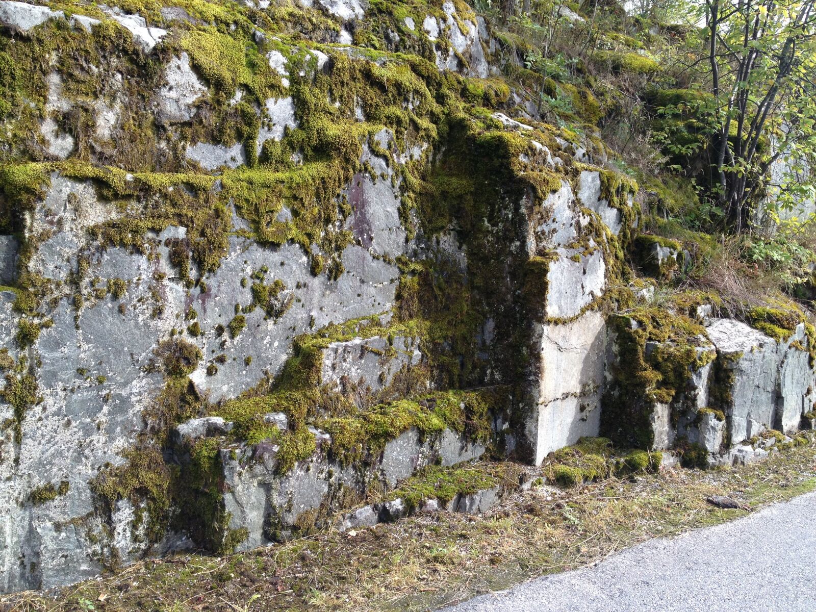 Apple iPhone 4S sample photo. Rocks, moss, texture photography