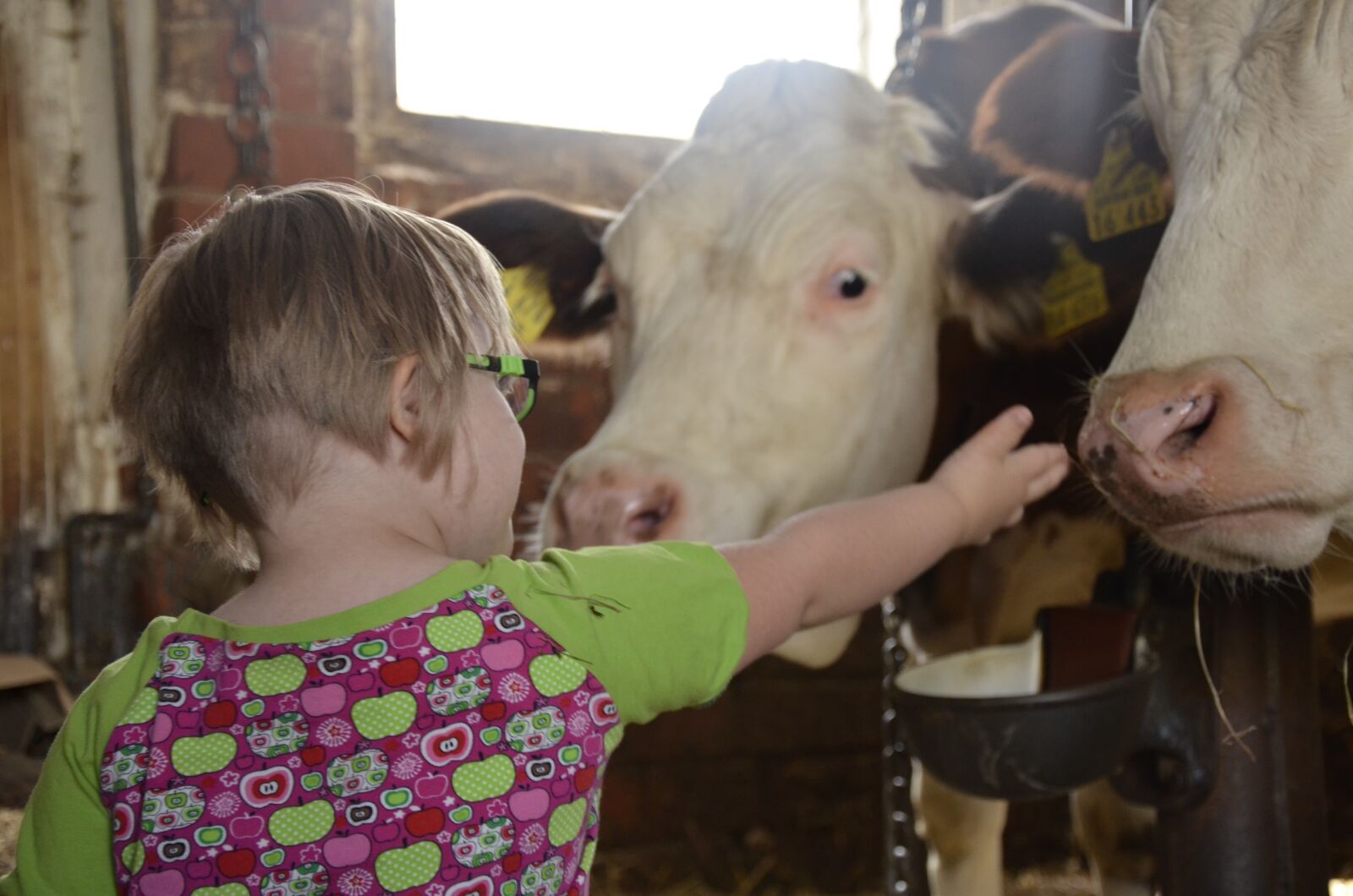 Nikon D5100 sample photo. Child, farm, children photography