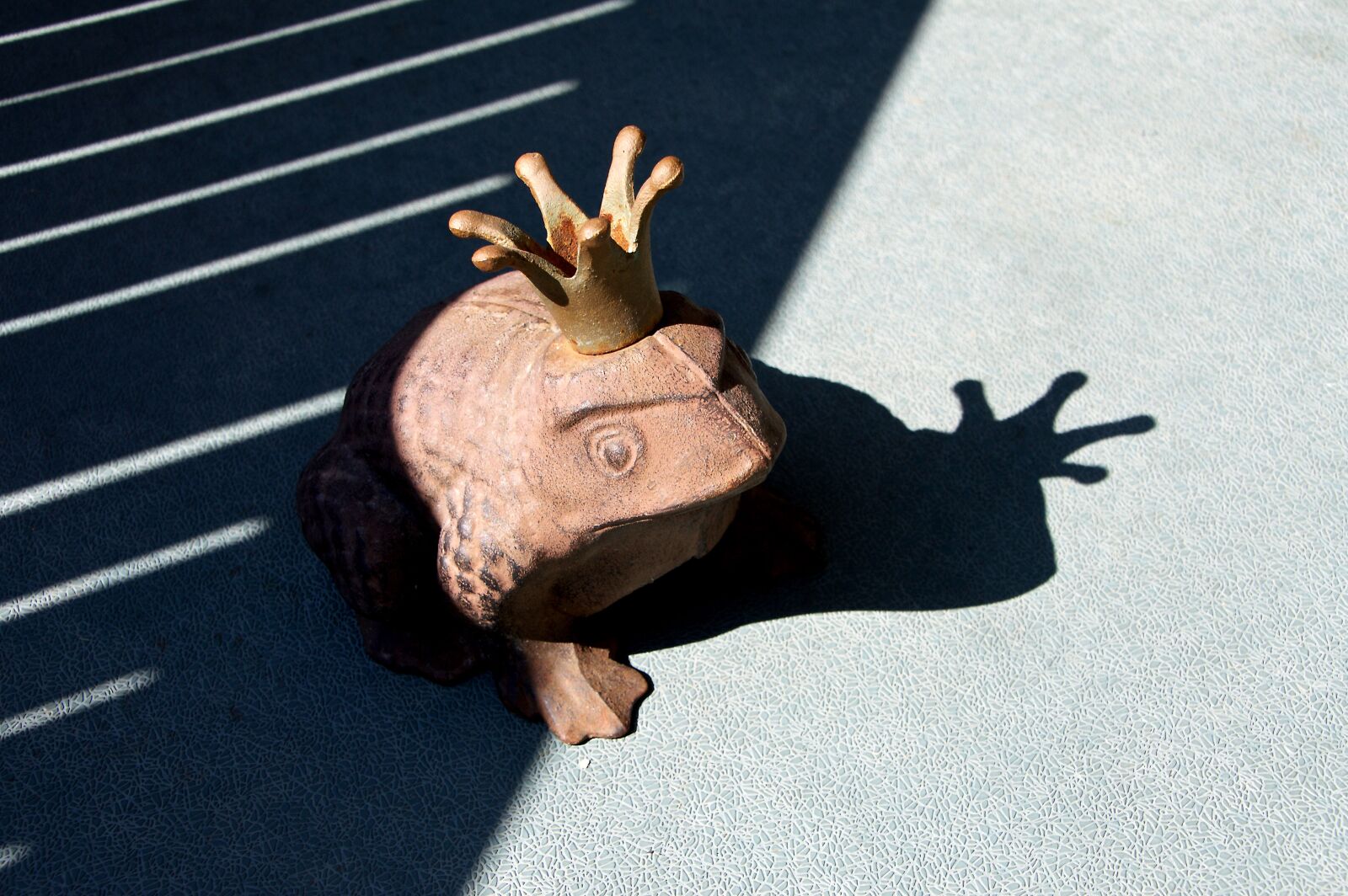 Nikon D3200 sample photo. Frog, shadow, crown photography
