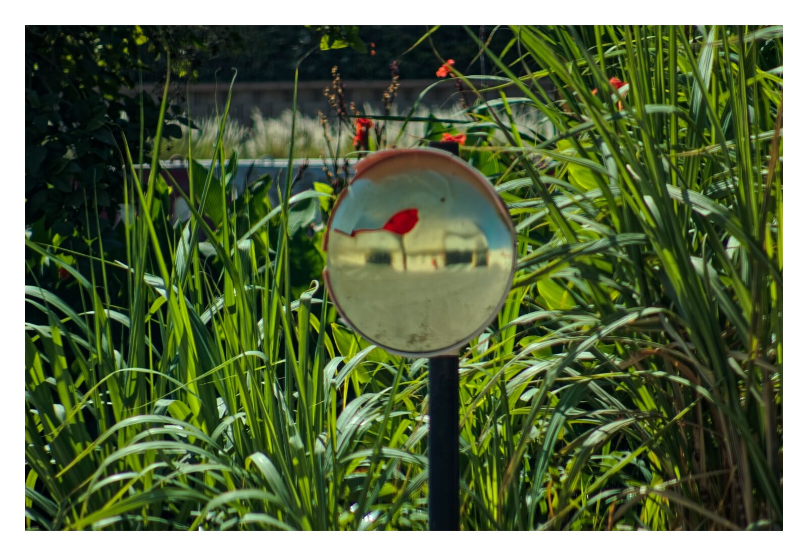 Canon EOS M6 sample photo