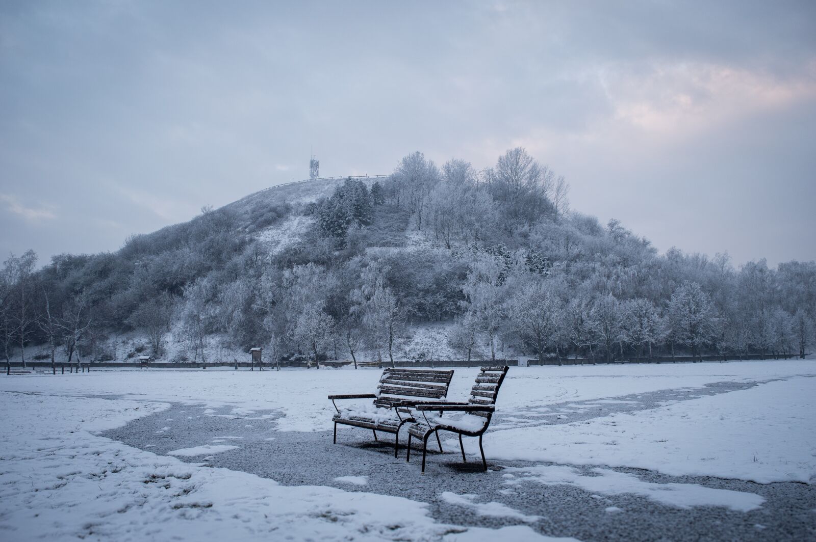 Nikon D3200 sample photo. Bench, winter, blue photography