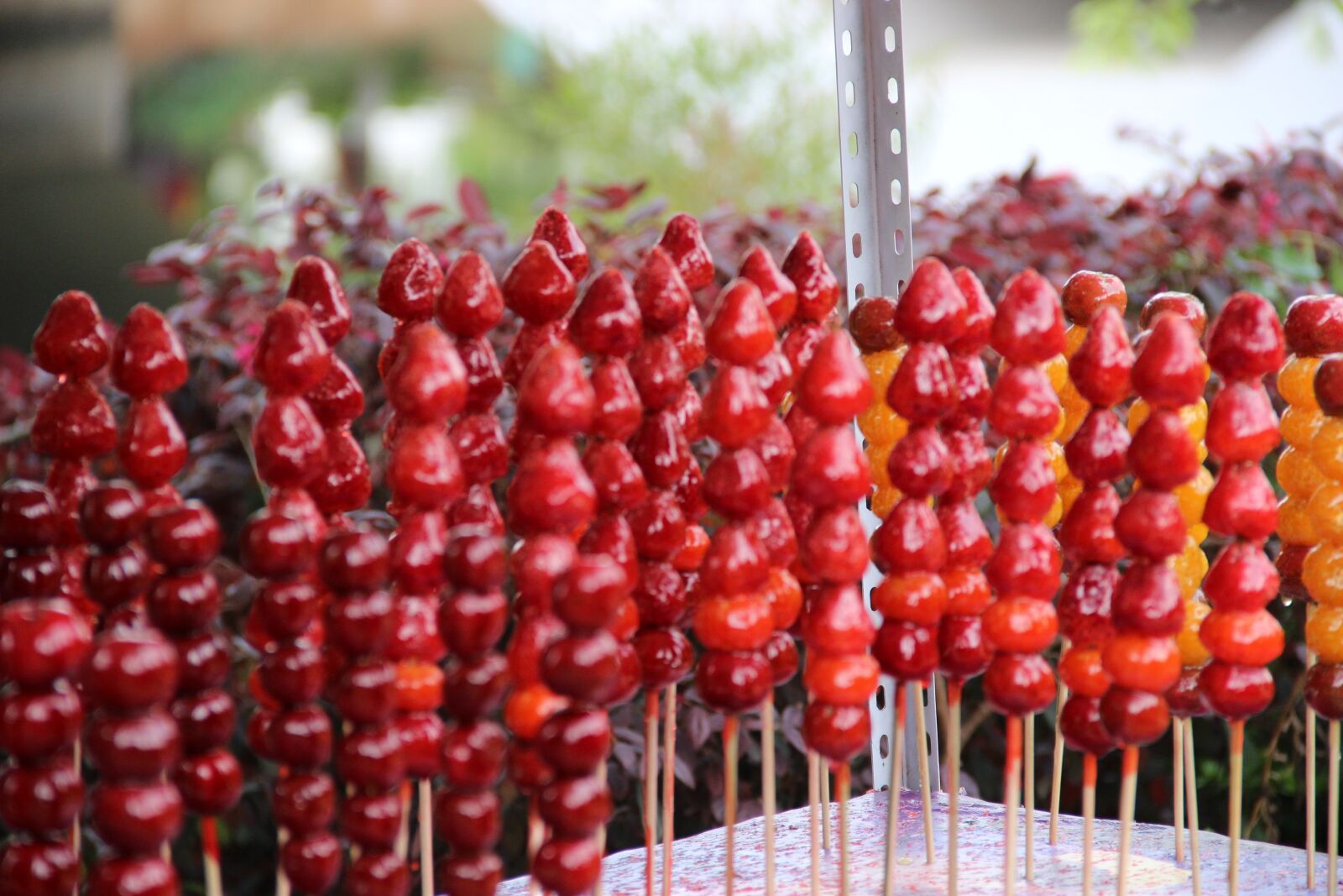 Canon EOS 600D (Rebel EOS T3i / EOS Kiss X5) sample photo. Candied fruit, sugar-coated berry photography