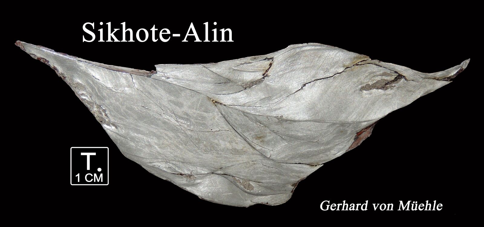 Nikon Coolpix P510 sample photo. Iron meteorite, slice, collection photography