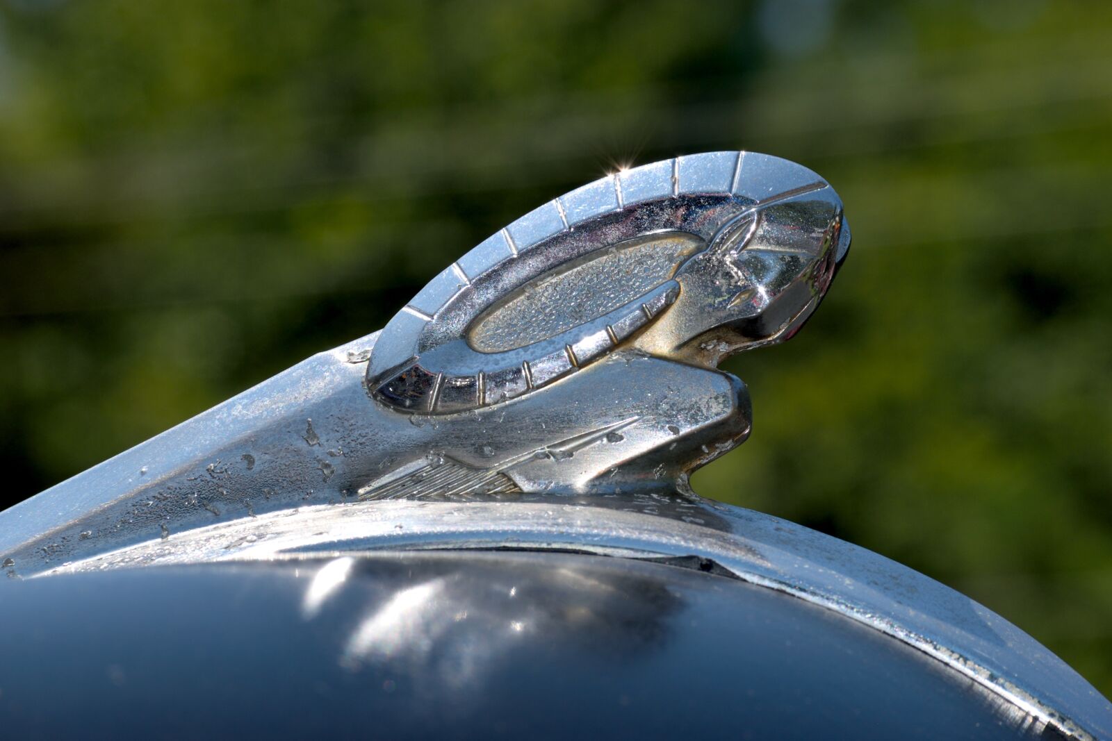 Nikon D3300 sample photo. Vintage, hood ornament, design photography