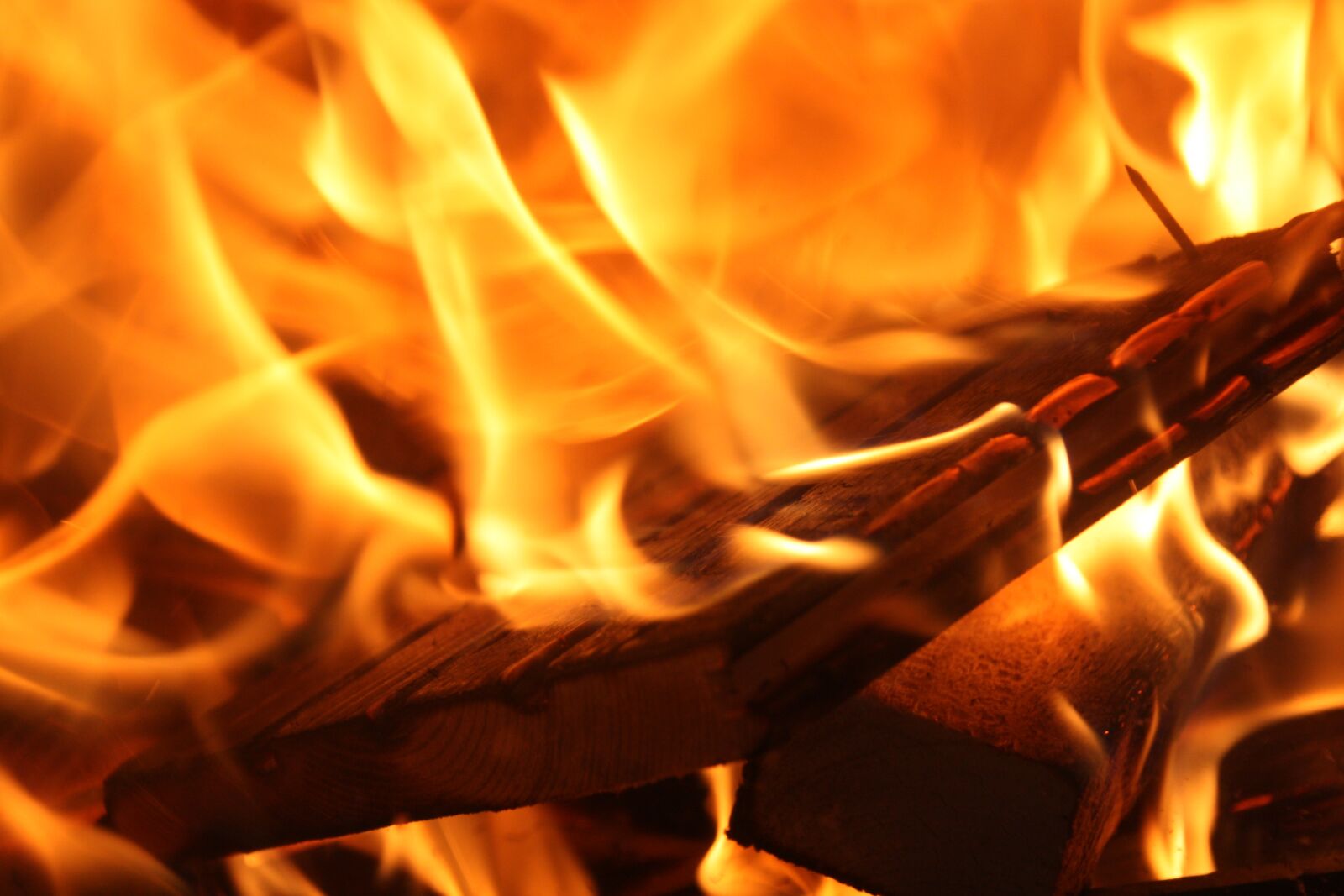 Canon EOS 450D (EOS Rebel XSi / EOS Kiss X2) sample photo. Fire, wood, heat photography