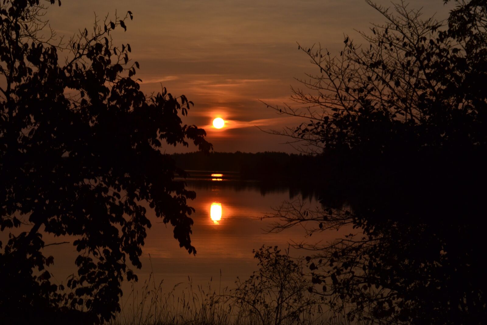 Nikon D3100 sample photo. Sunset, dawn, tree photography