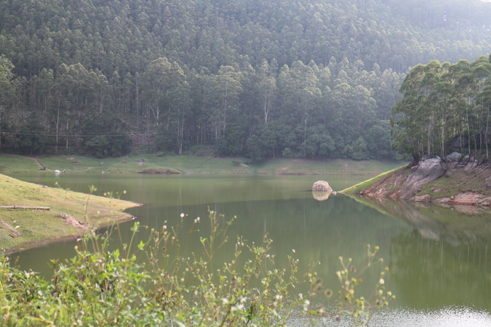 Canon EOS M + Canon EF-M 18-55mm F3.5-5.6 IS STM sample photo. Nature, india, kerala photography