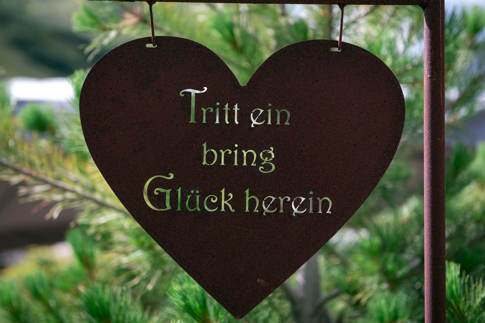Nikon D750 sample photo. Heart, rusty, big heart photography