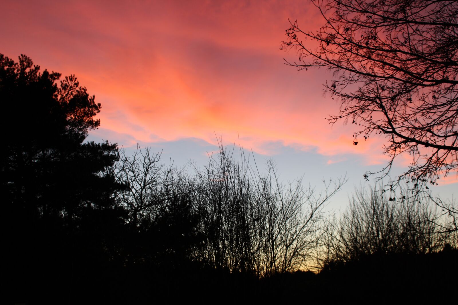 Canon EOS 700D (EOS Rebel T5i / EOS Kiss X7i) sample photo. Tree, nature, landscape photography