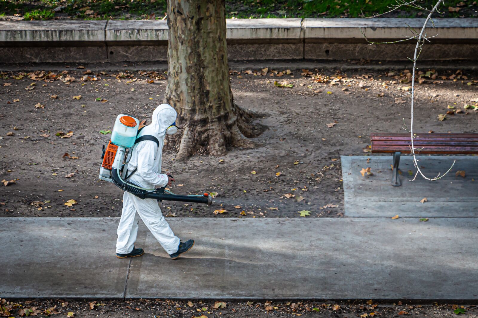 Canon EOS 70D sample photo. Covid19, coronavirus, quarantine photography