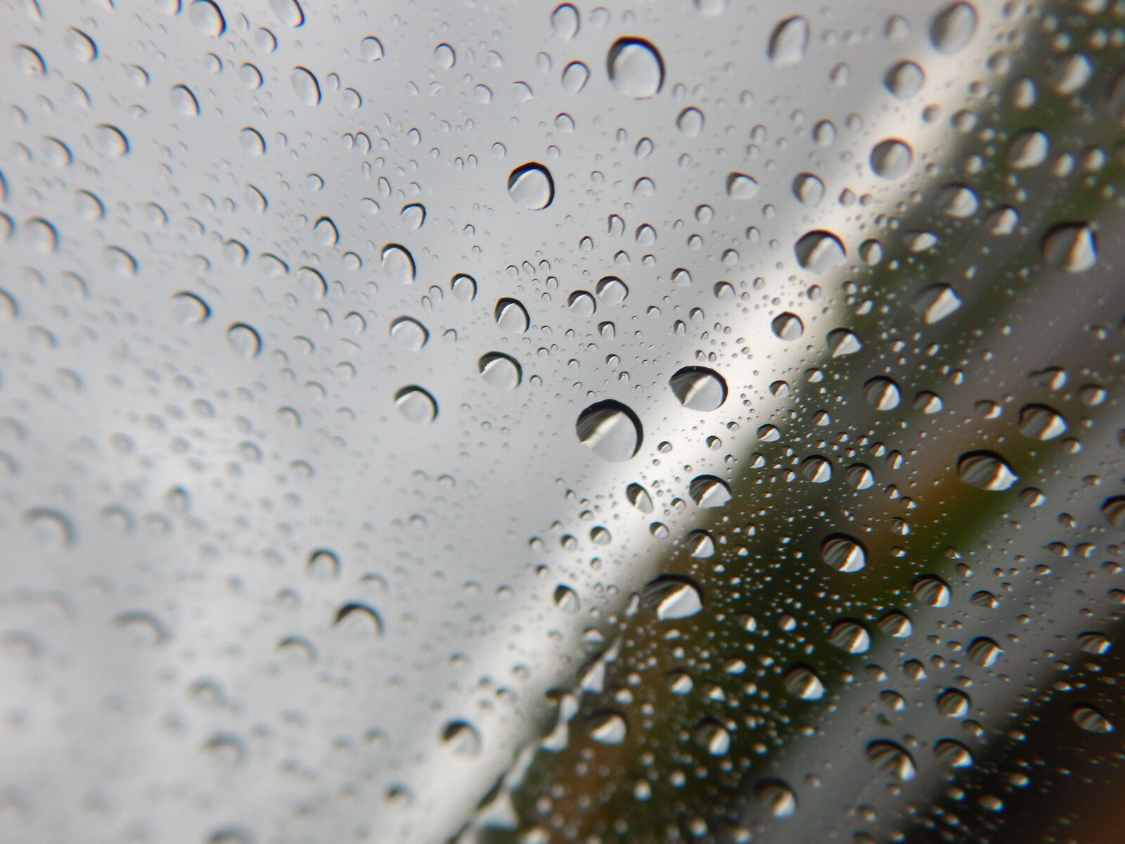 Nikon Coolpix L830 sample photo. Bubble, clean, clear, close photography
