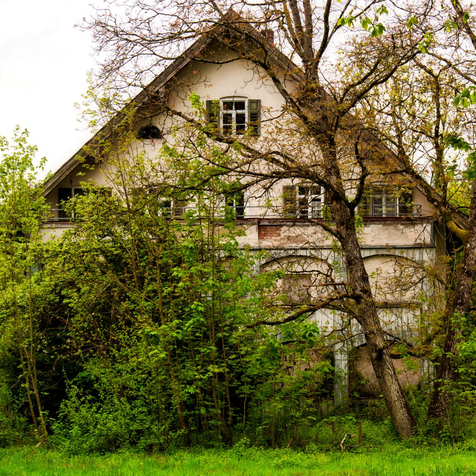 Nikon D7100 sample photo. House, trees, shrubs photography