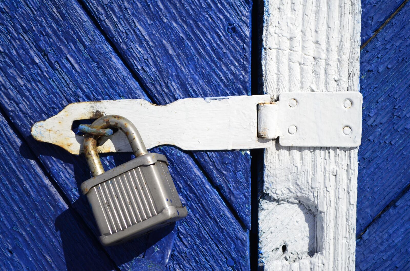 Nikon D5100 sample photo. Castle, door, tree photography