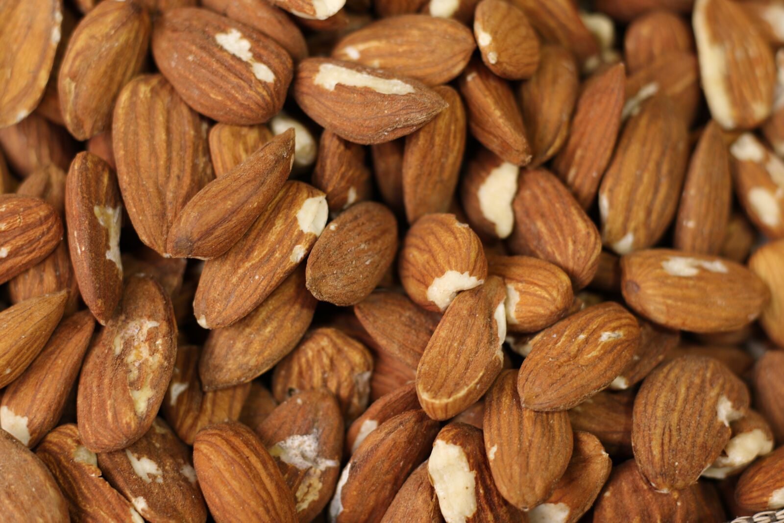 Canon EOS 7D Mark II sample photo. Food, almonds, healthy photography
