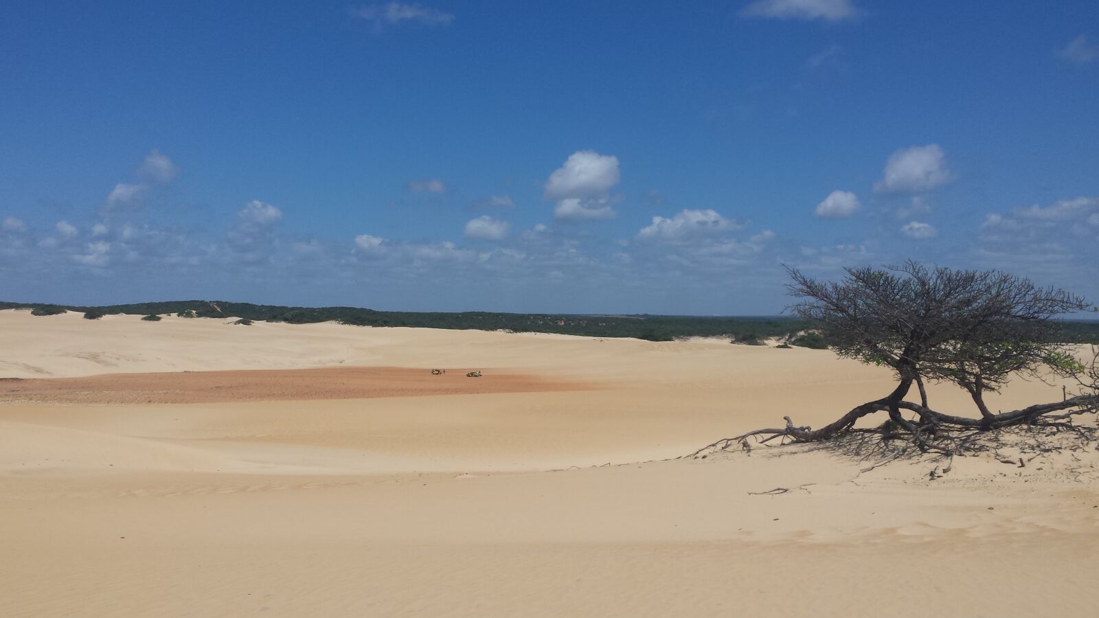 Samsung Galaxy S4 sample photo. Christmas, dunes, brazil photography