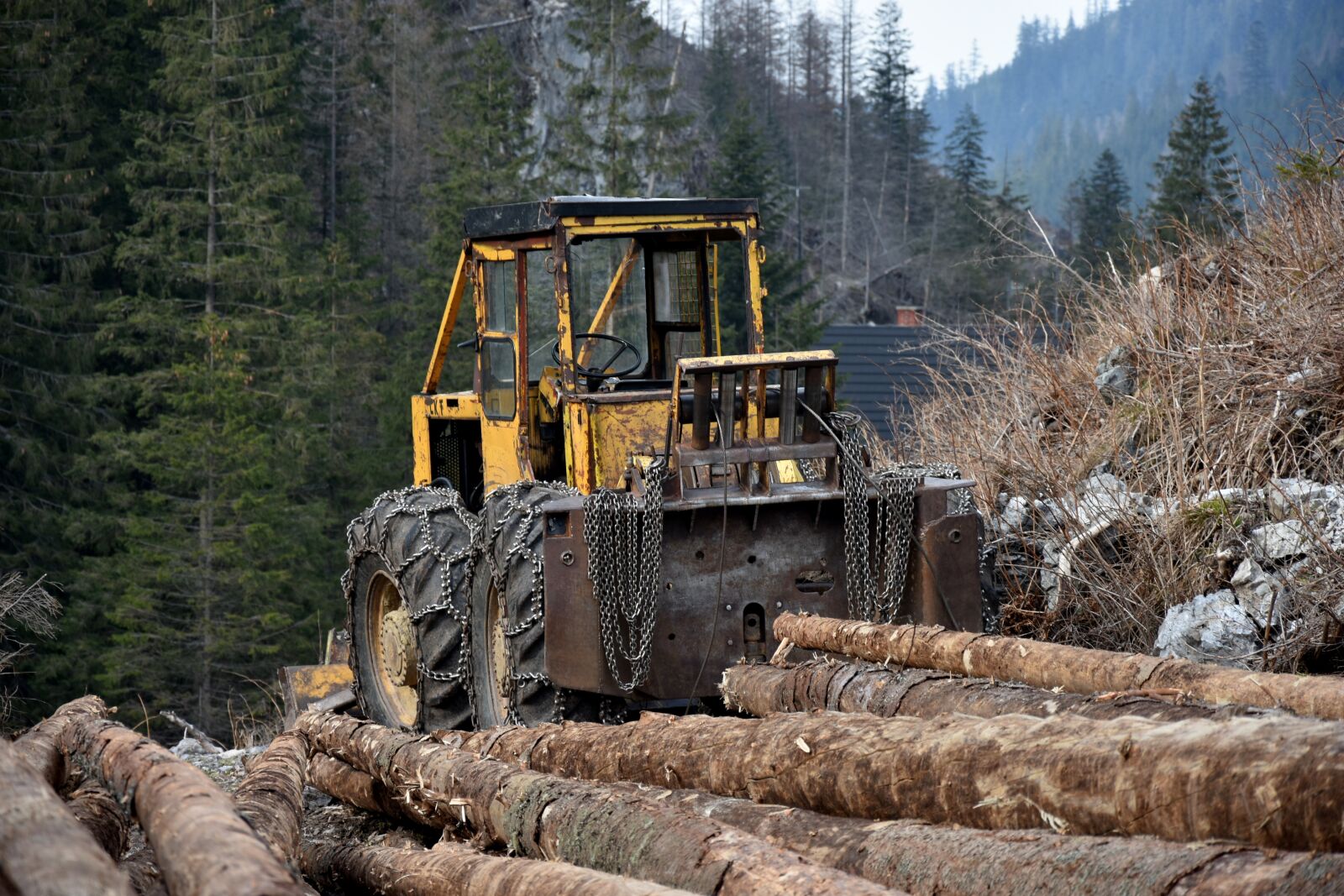 Nikon D7200 sample photo. Wood, slice, lumberjack photography