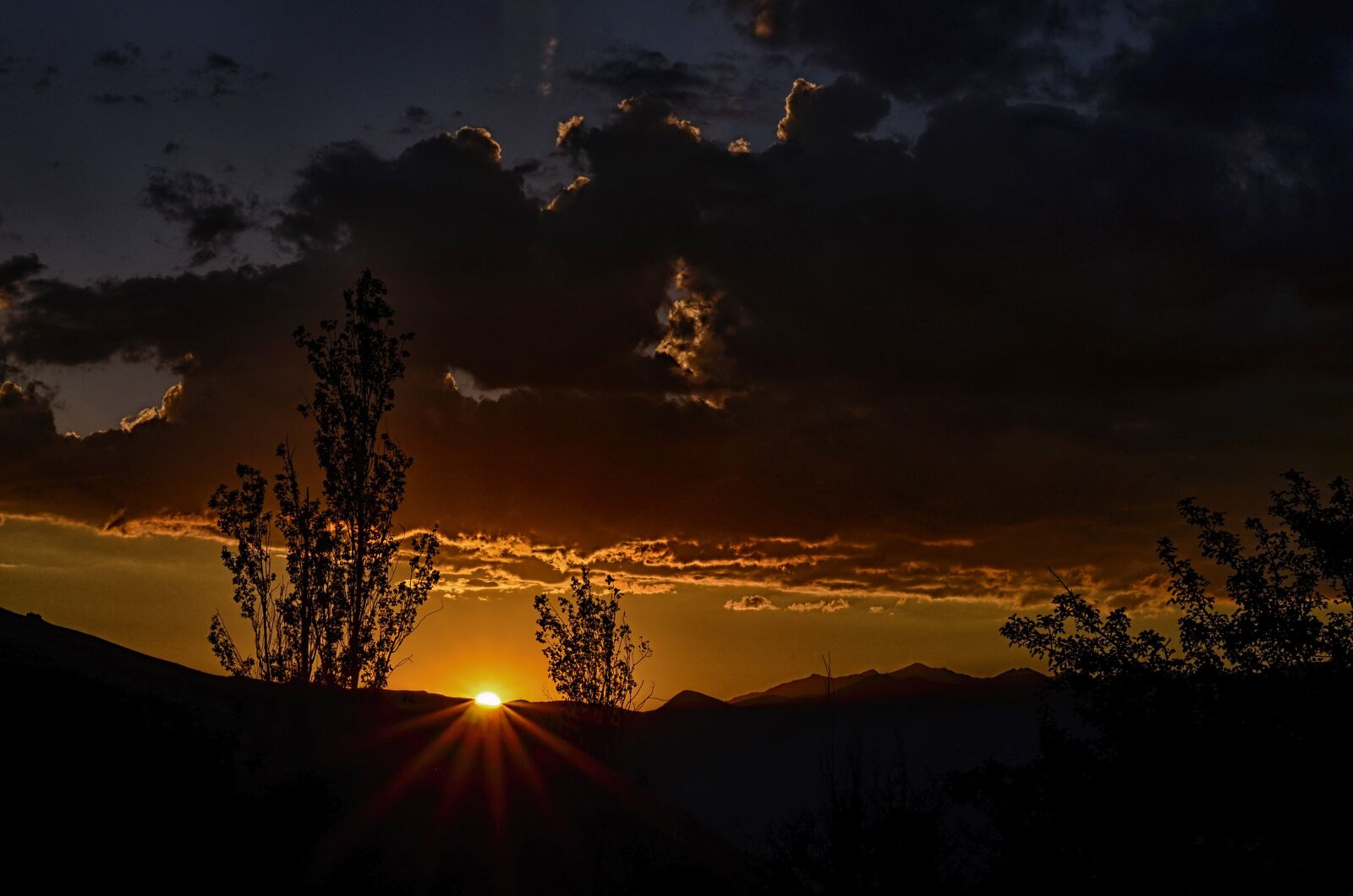 Nikon D5100 sample photo. Stunning, color, behind the photography