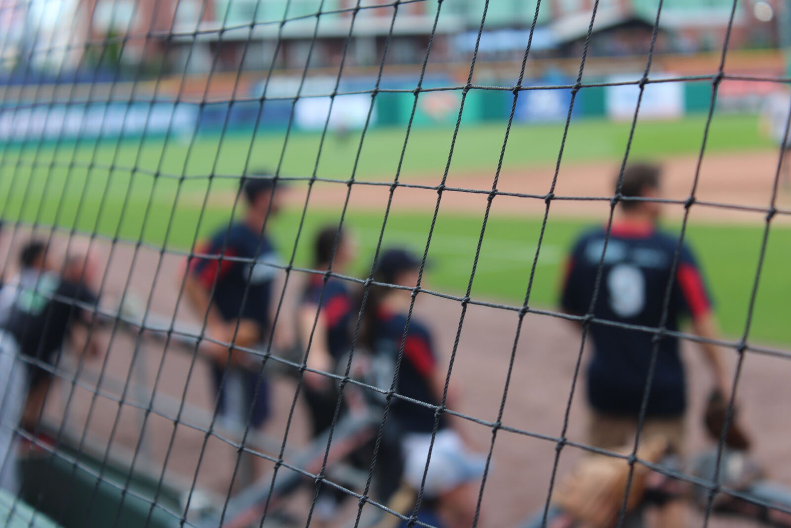 Canon EOS 1200D (EOS Rebel T5 / EOS Kiss X70 / EOS Hi) sample photo. Baseball, behind, focus, net photography