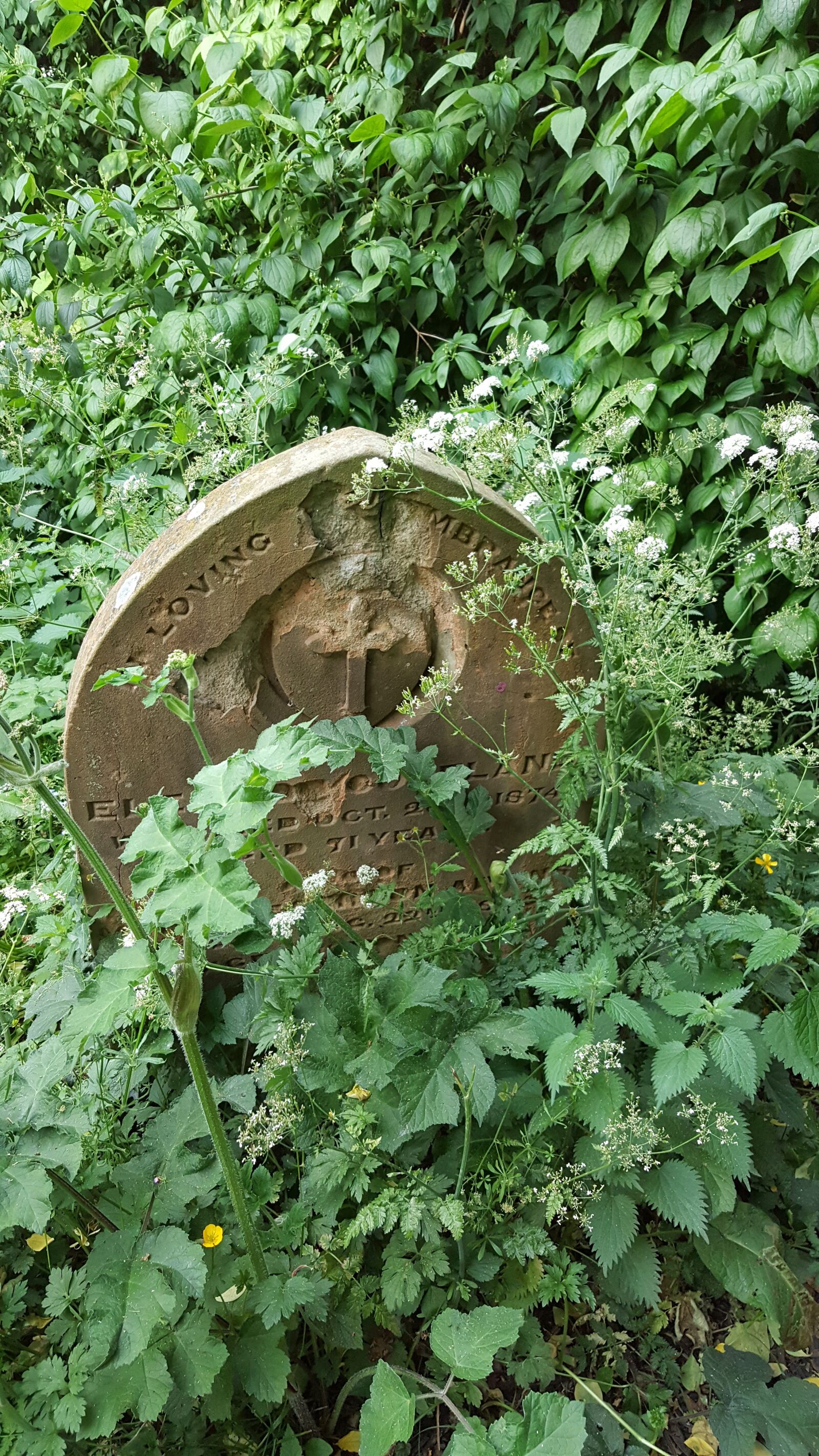 Samsung Galaxy Note5 sample photo. Gravestone, graveyard, overgrown photography
