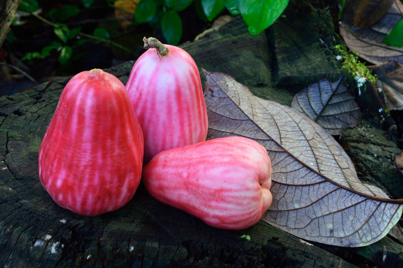 Nikon D3200 sample photo. Fruit, sweet, red photography