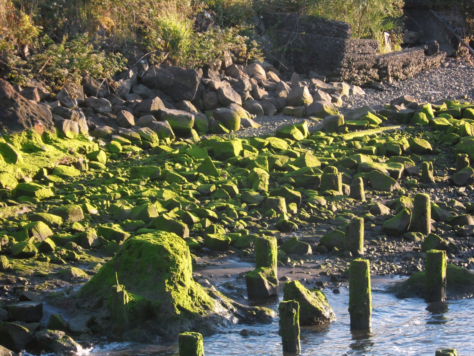 Samsung ST200 / ST200F / ST201 / ST201F / ST205F sample photo. Rocks, moss, green photography