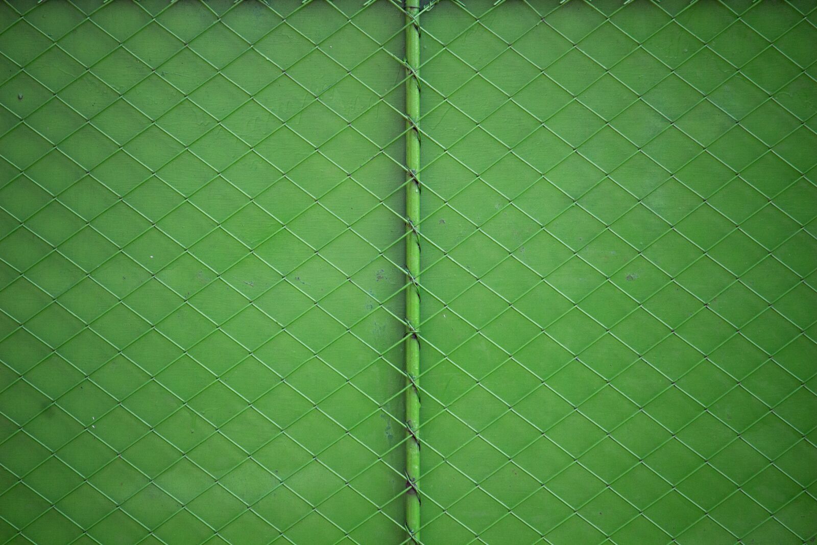 Canon EOS 100D (EOS Rebel SL1 / EOS Kiss X7) sample photo. Fence, fence grid, grid photography