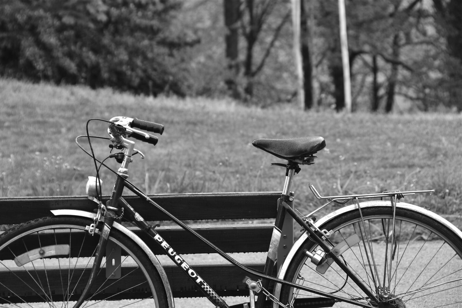 Nikon D5600 sample photo. Bicycle, bike, cycling photography