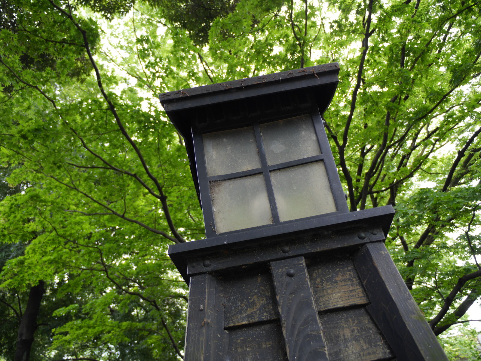 Panasonic Lumix DMC-GH3 sample photo. Toro shoot photography