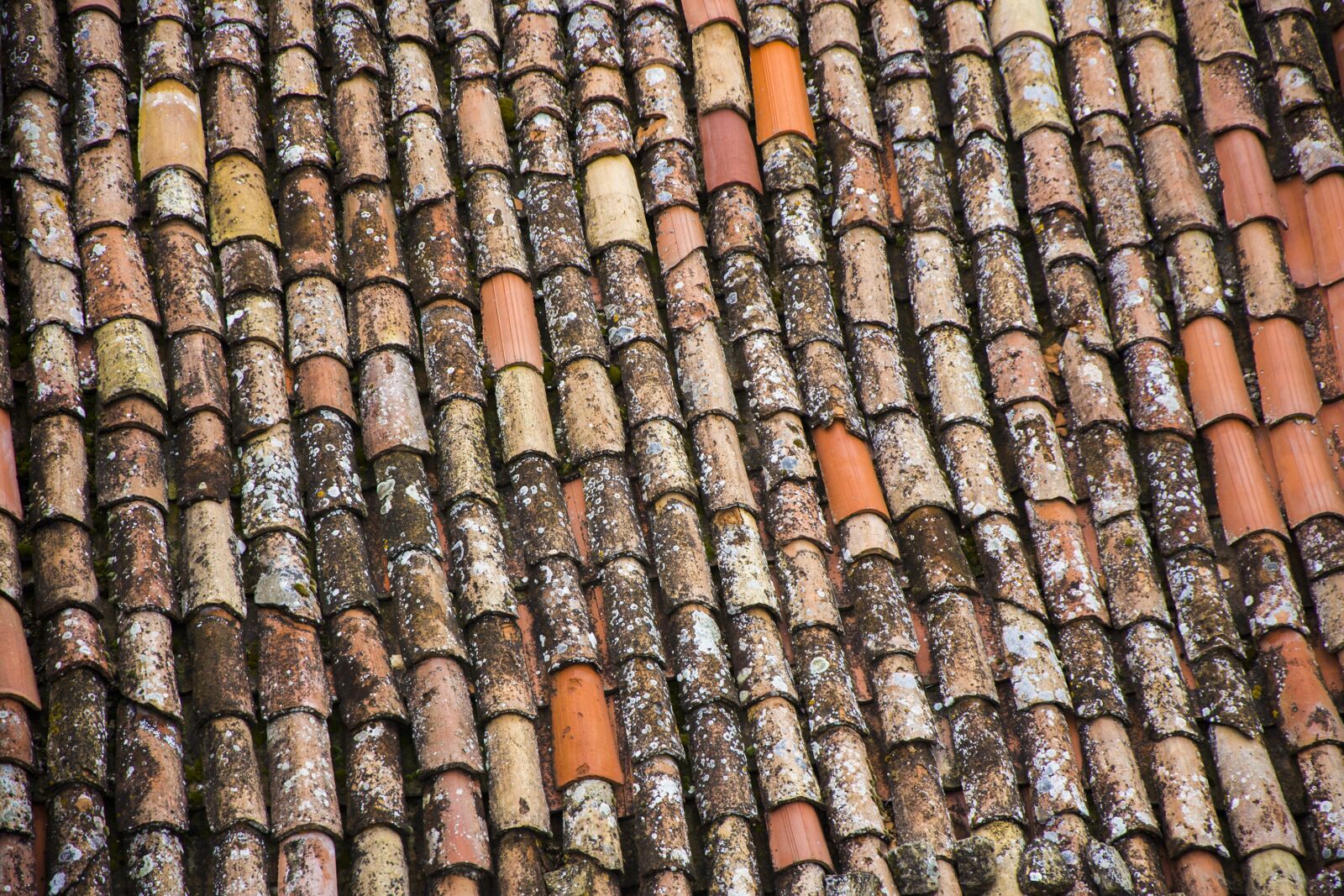 Nikon D7200 sample photo. Roof, tile, old photography