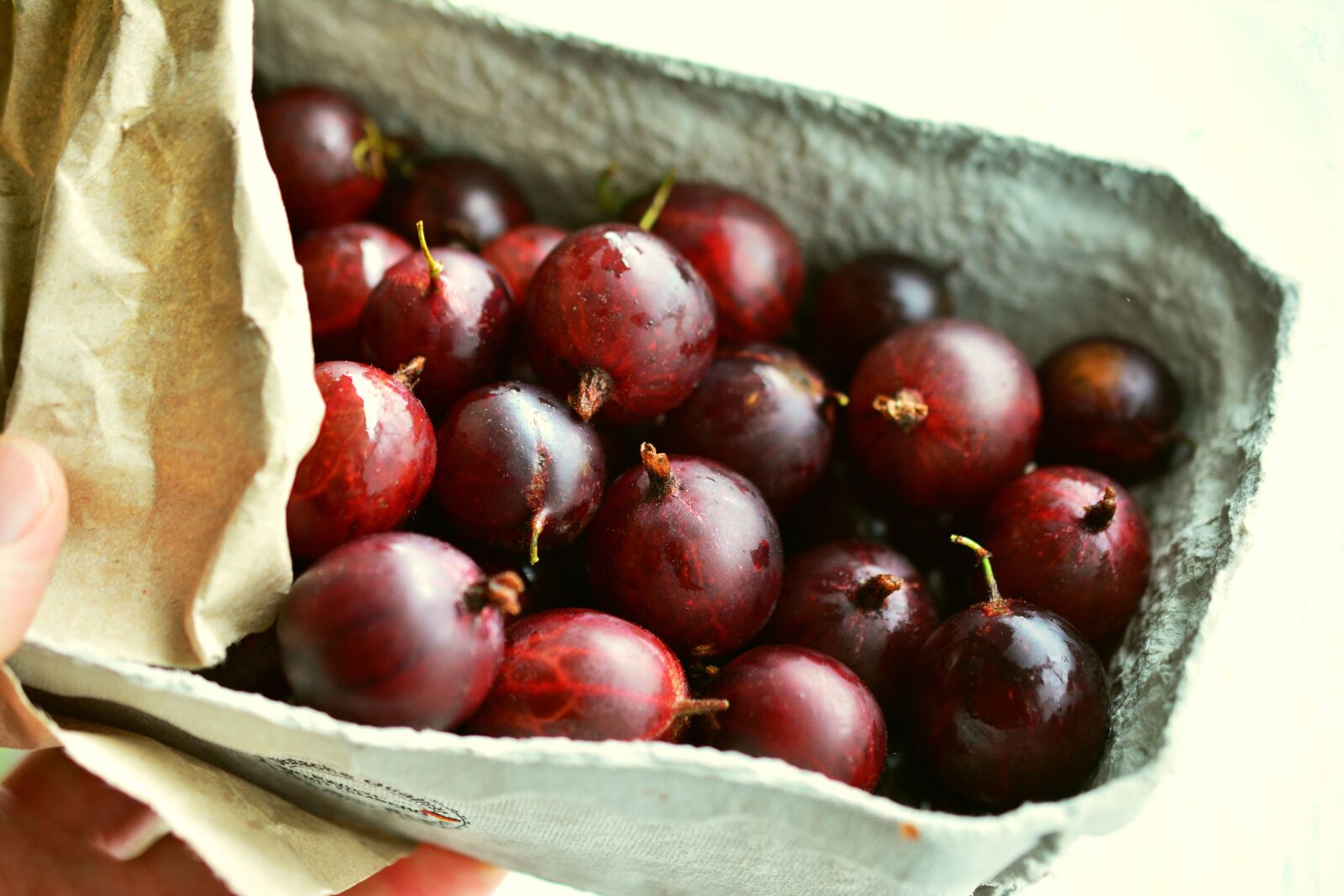 Nikon D5200 sample photo. Gooseberries, red gooseberries, fruits photography