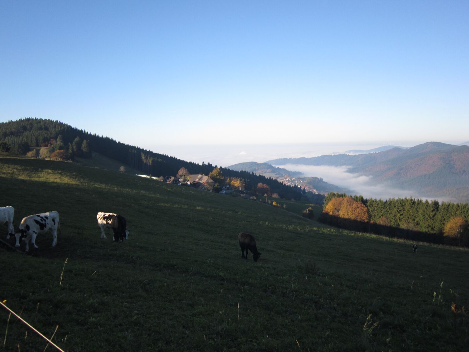 Canon PowerShot A3200 IS sample photo. Nebel, landschaft, ausblick photography