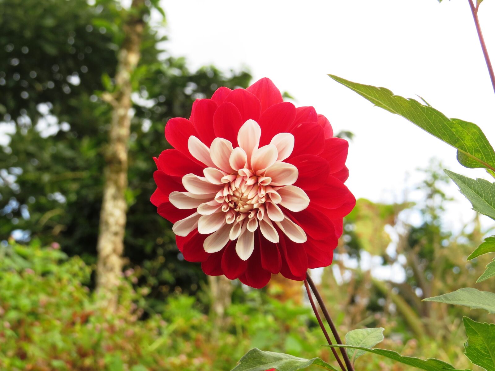 Canon PowerShot SX50 HS sample photo. Landscape, nature, ulloa photography
