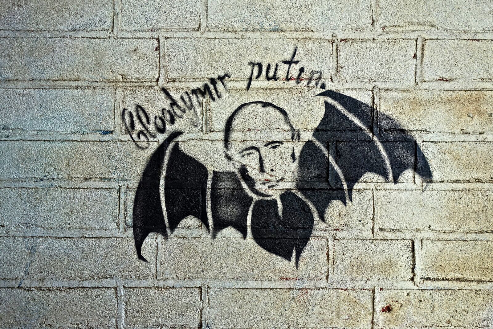 Sony Cyber-shot DSC-RX100 sample photo. Graffiti, street art, satire photography