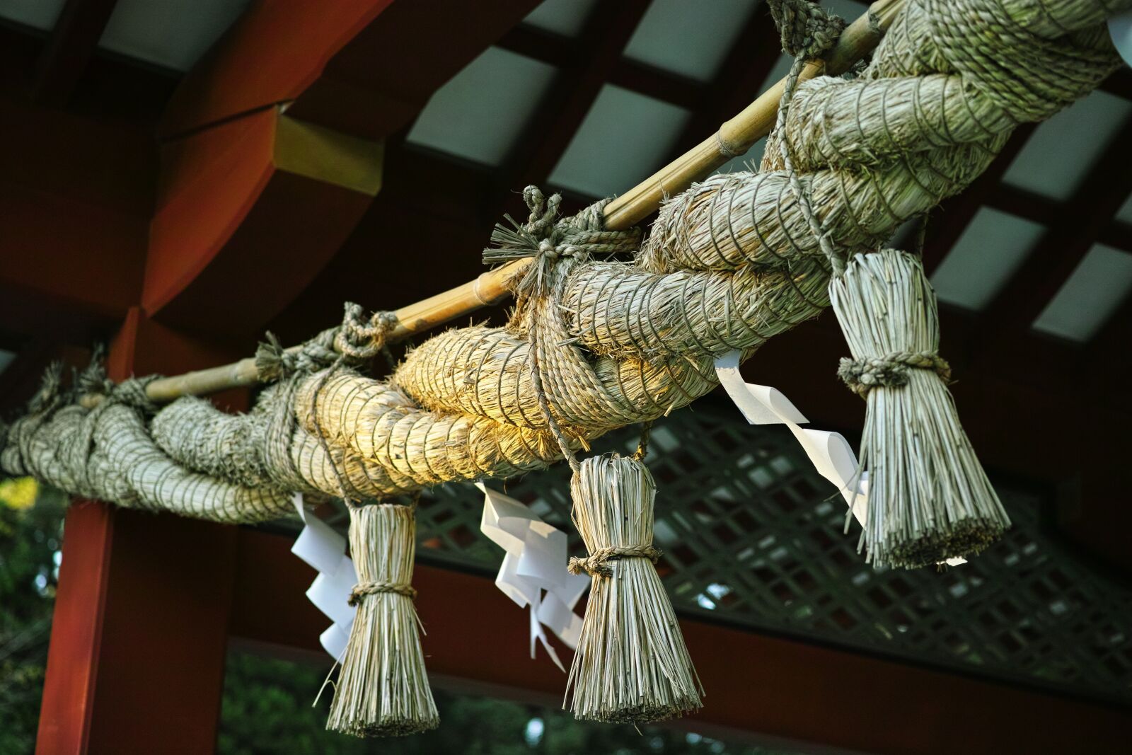 Sigma DP3 Merrill sample photo. Shimenawa, shrine, holy photography