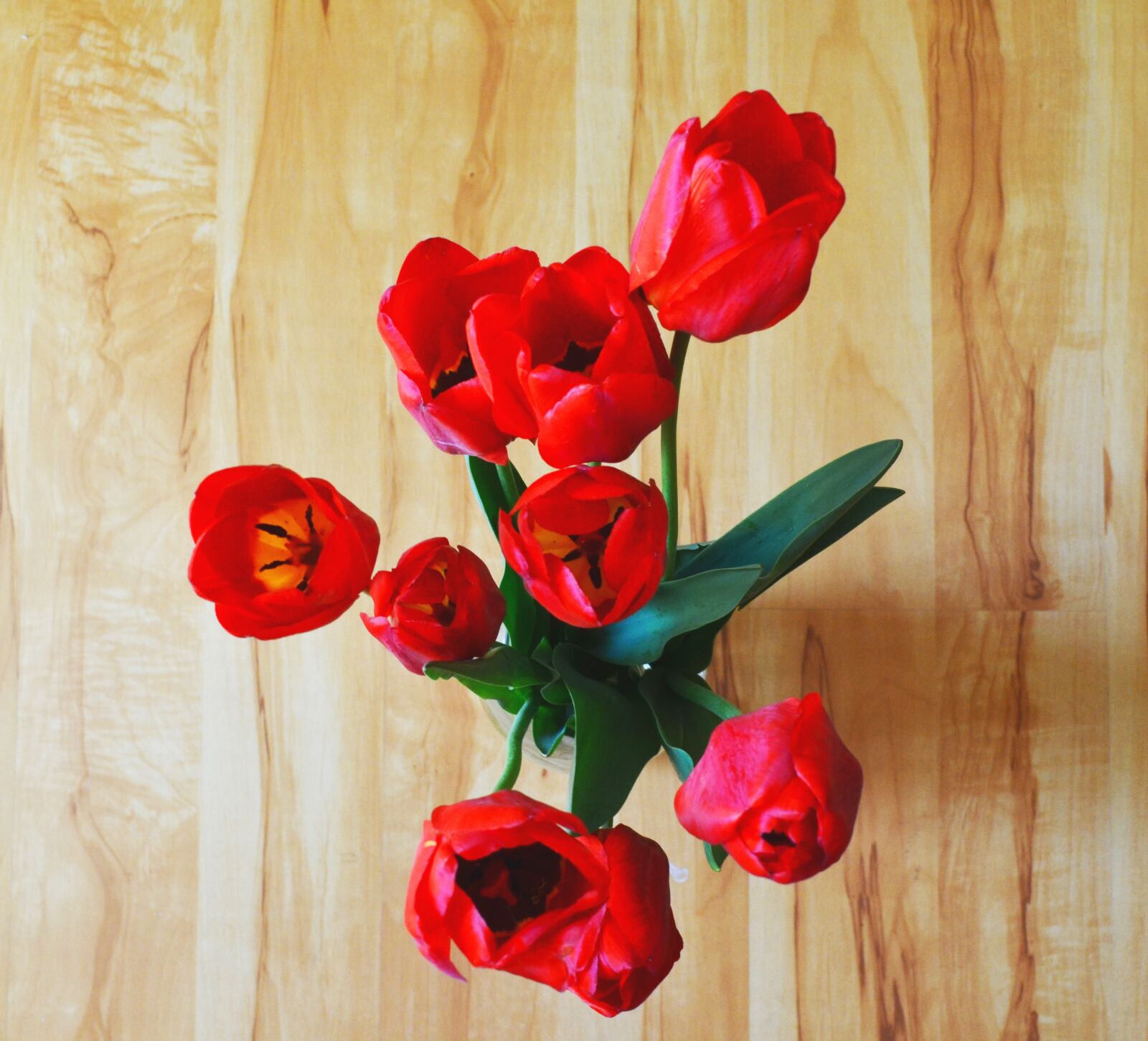 Nikon D5100 sample photo. Tulips, flowers, bouquet photography