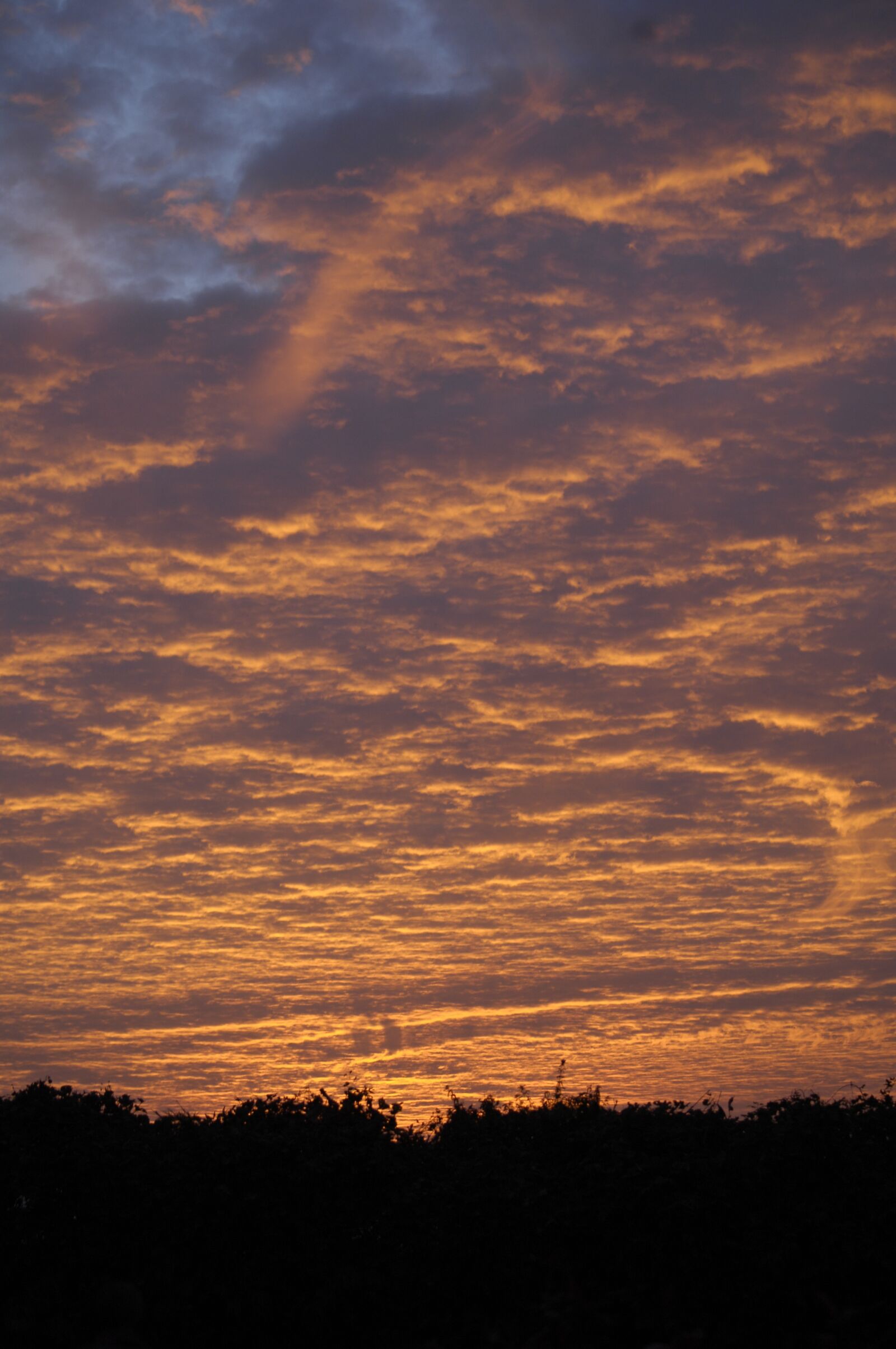 Nikon D2X sample photo. Sky, atmosphere, sunset photography
