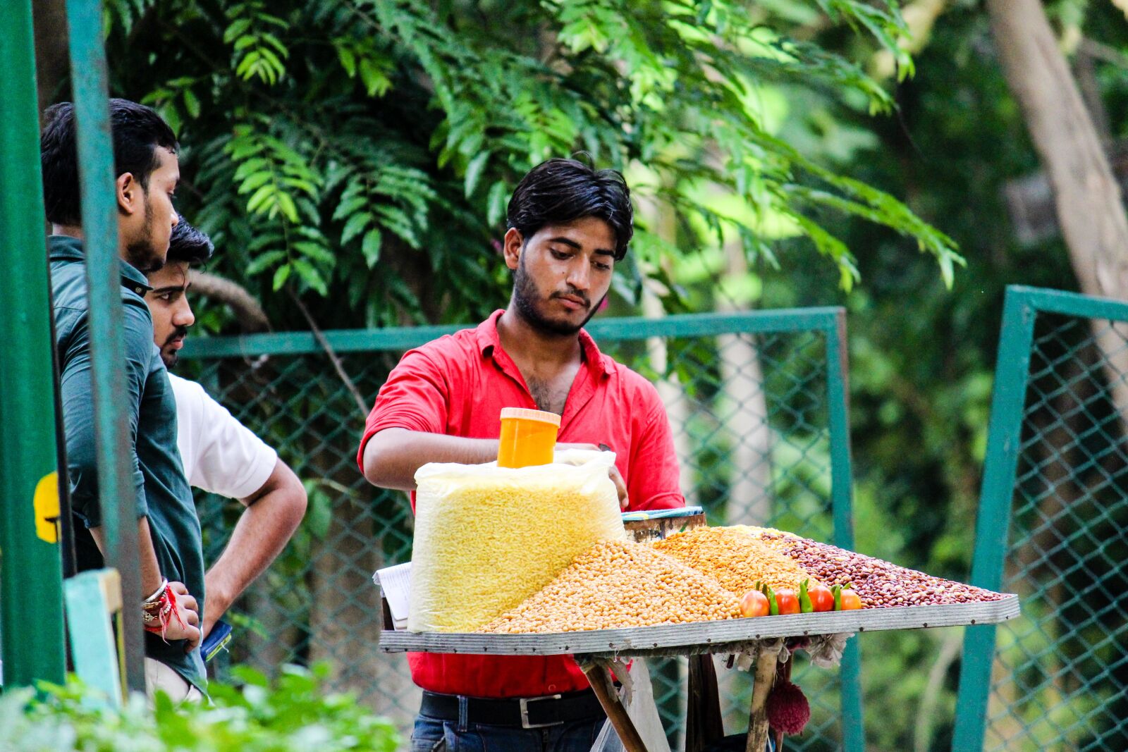 Canon EOS 700D (EOS Rebel T5i / EOS Kiss X7i) sample photo. Local seller, indian, vendor photography