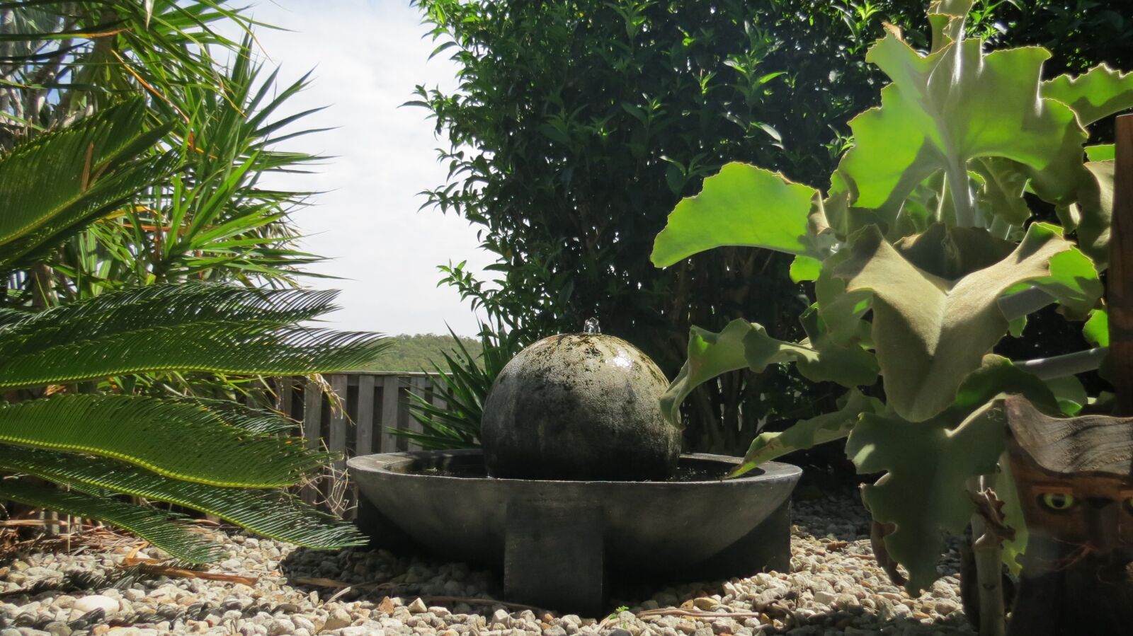 Canon PowerShot SX40 HS sample photo. Water sphere, subtropical, garden photography