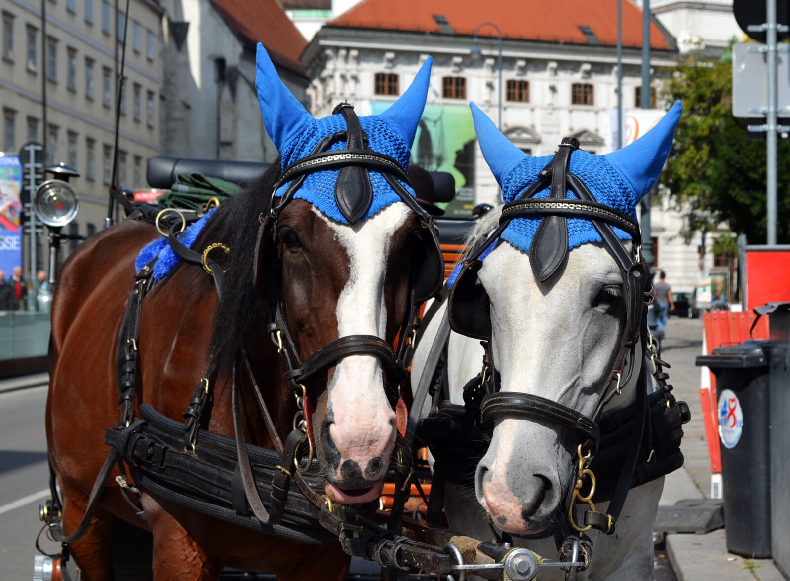 Nikon D3100 sample photo. Horse, austria, hotel photography