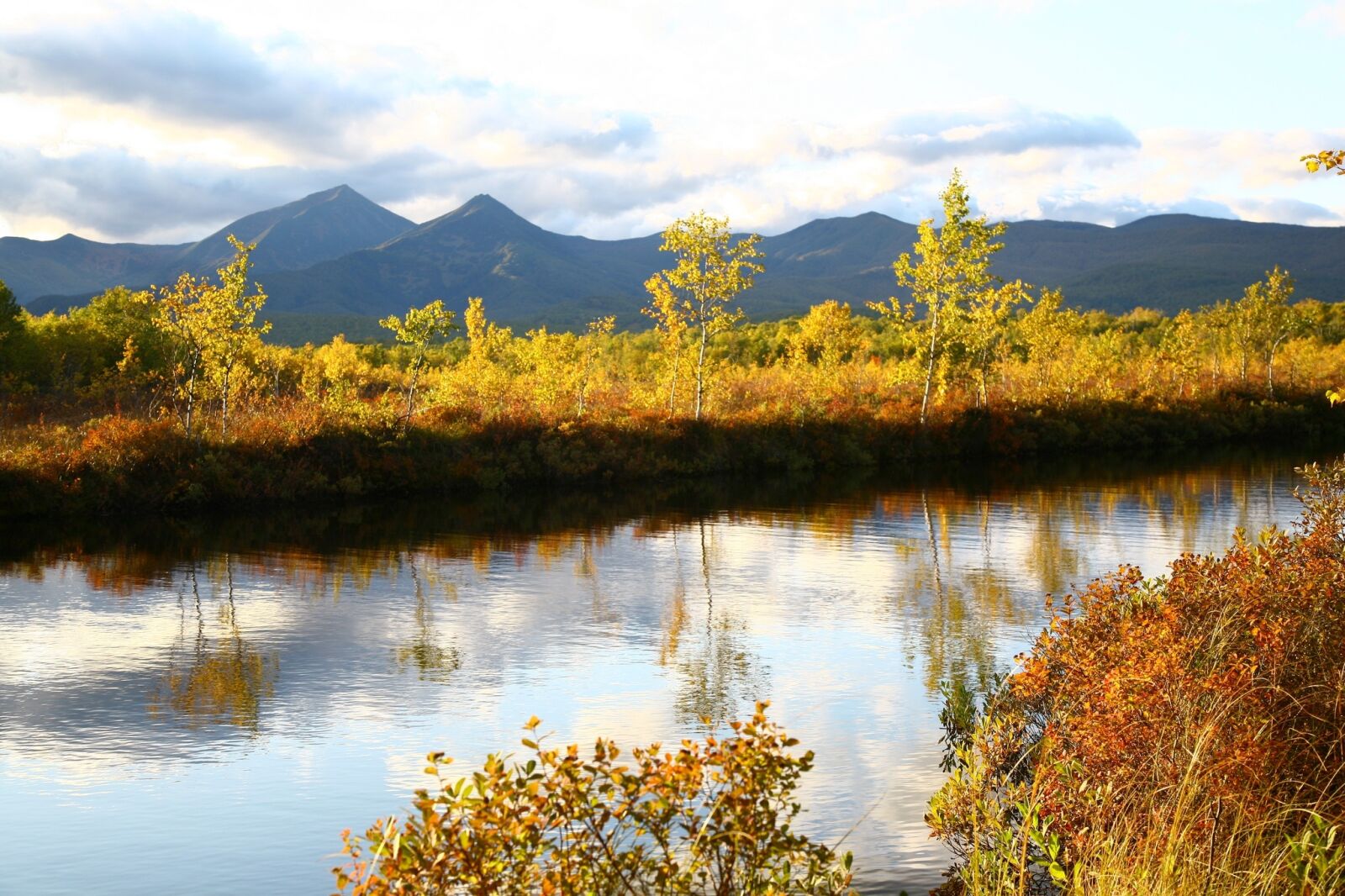 Canon EOS 5D sample photo. Autumn, forest, lake photography