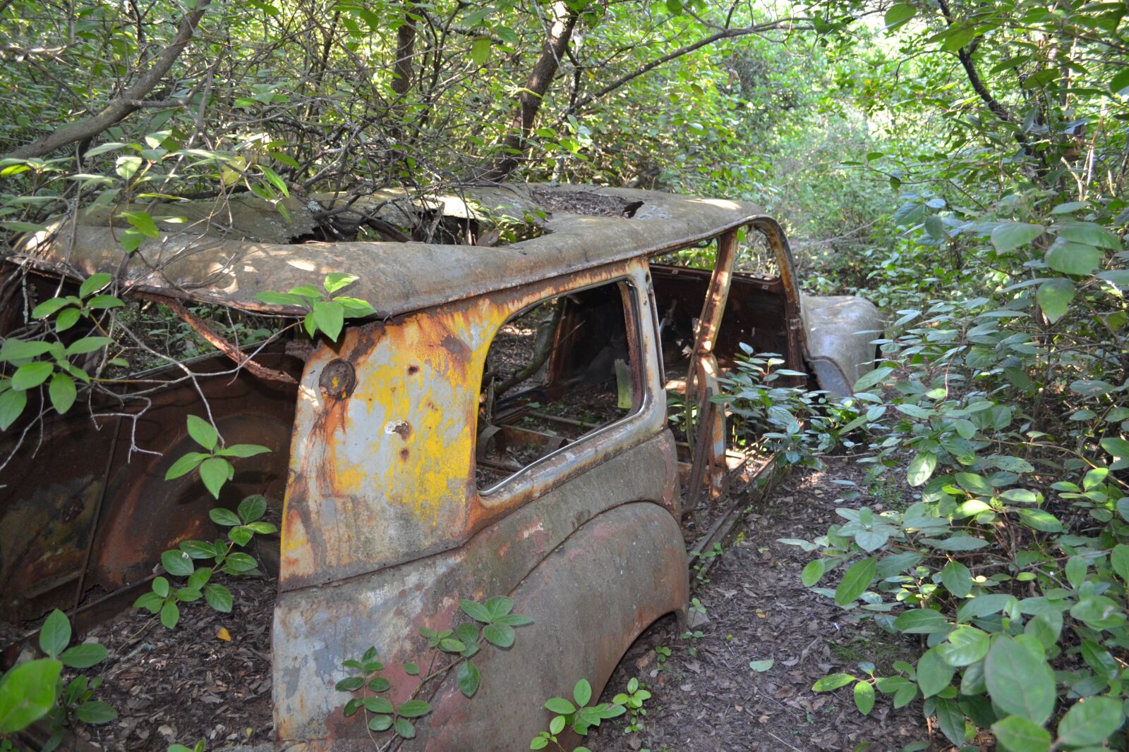Nikon D3100 sample photo. Wreck, nature, car photography
