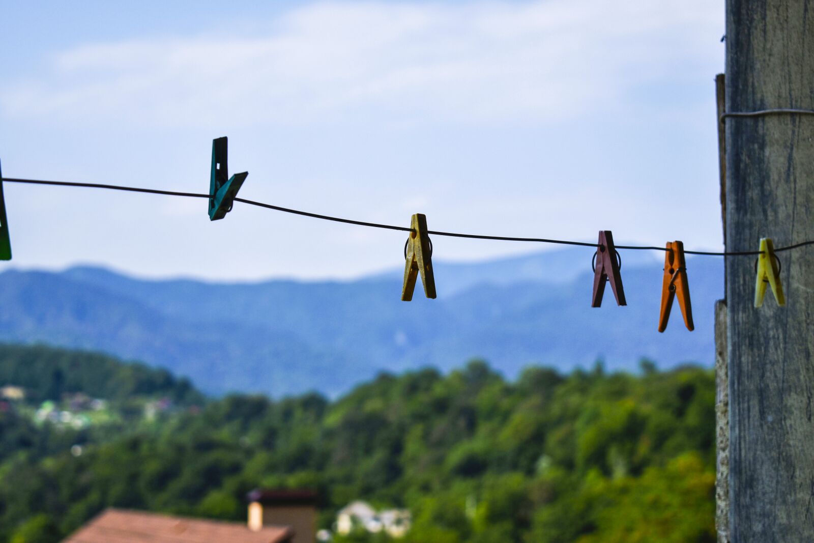 Nikon D5600 sample photo. Pins, mountain, summer photography