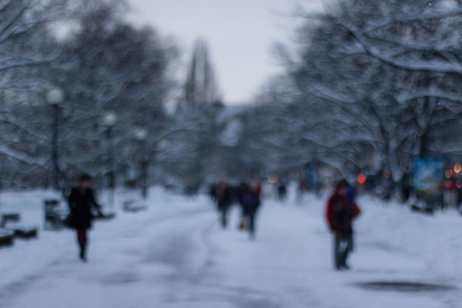 Canon EF 50mm F1.8 II sample photo. Blur, cold, defocused, environment photography