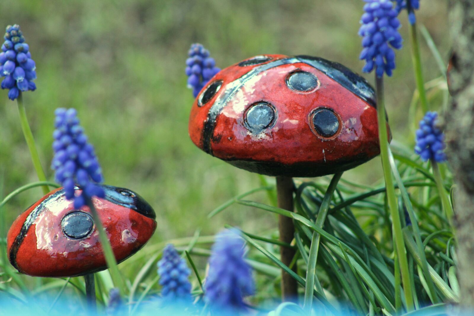Canon EF75-300mm f/4-5.6 sample photo. Garden, decoration, ladybug photography