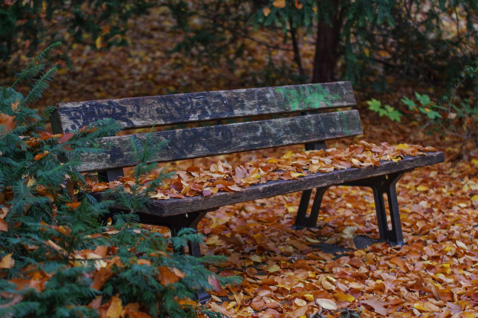 Pentax K-3 + Tamron SP AF 70-200mm F2.8 Di LD (IF) MACRO sample photo. Park bench, autumn, nature photography
