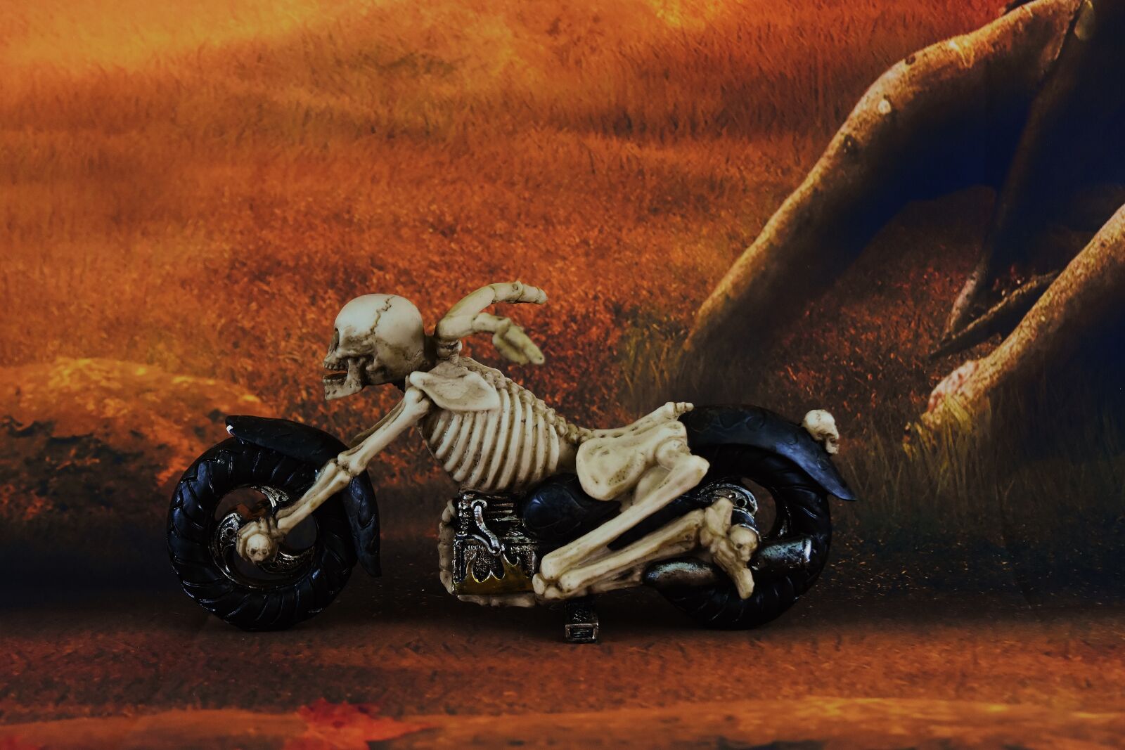 Nikon D7200 sample photo. Gloomy, mood, skeleton photography