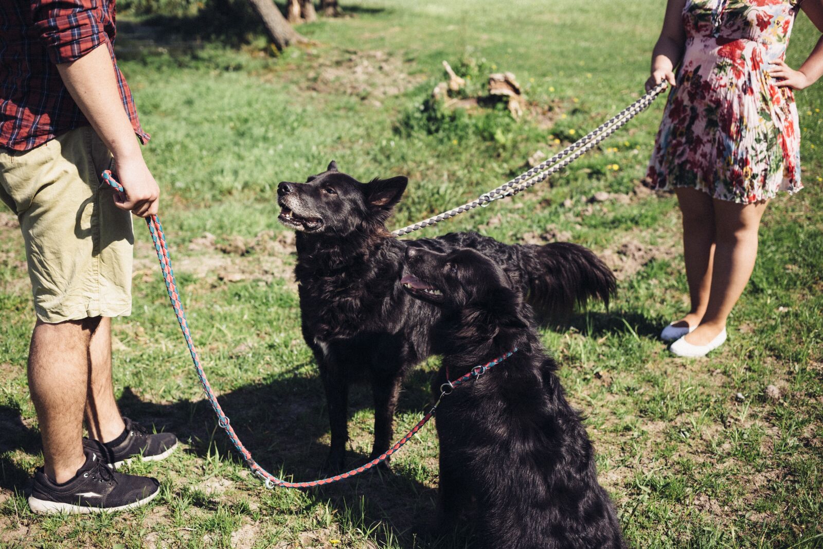 Canon EF 40mm F2.8 STM sample photo. Animals, people, breed photography