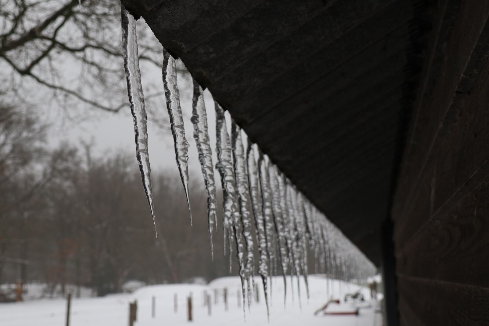 Canon EOS M5 + Canon EF-M 18-150mm F3.5-6.3 IS STM sample photo. Icicles, winter, ice photography